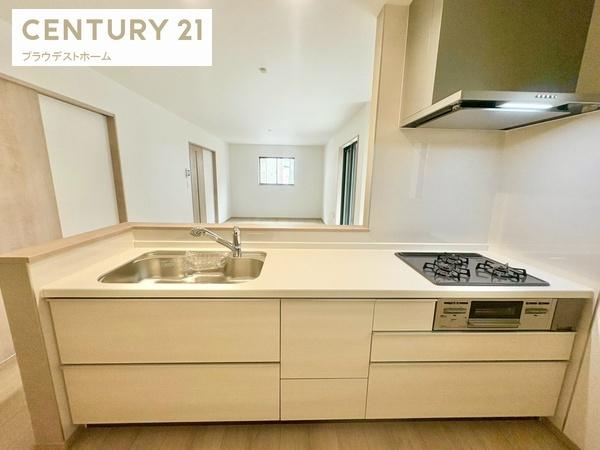 東大阪市大蓮東2丁目の新築一戸建(キッチン)