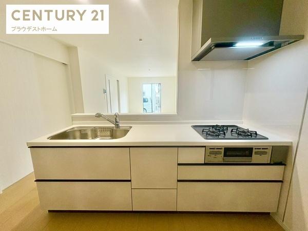 東大阪市大蓮東2丁目の新築一戸建(キッチン)