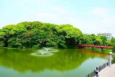 大阪市天王寺区下寺町２丁目の中古一戸建て(天王寺公園)