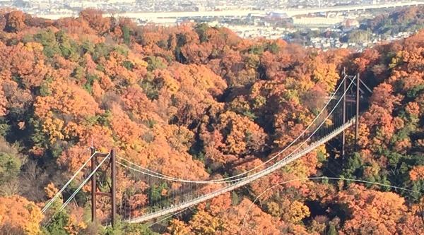 「グリーンビレッジ交野」宿泊研修施設・介護施設