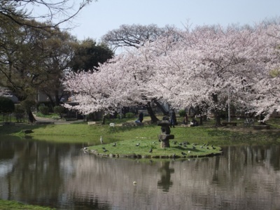 大阪市住吉区墨江３丁目の新築一戸建(住吉公園)