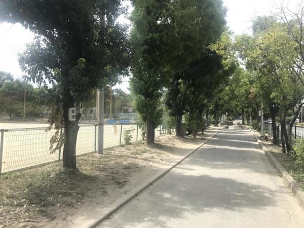 摂津市新在家１丁目の新築一戸建(島3号公園)