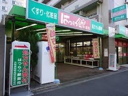 大阪市淀川区十八条３丁目の新築一戸建(はつらつ館薬局)