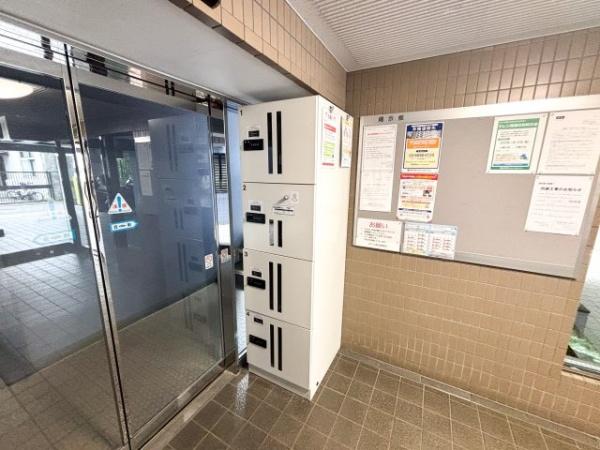 セザール野沢