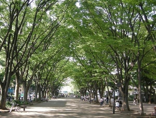 中銀第２世田谷マンシオン(JRA馬事公苑)