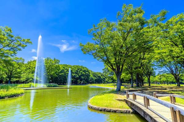 ライオンズマンション駒場(東京都立代々木公園)