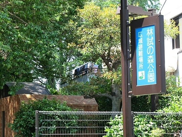 目黒区目黒本町４丁目　新築戸建　１号棟(林試の森公園)
