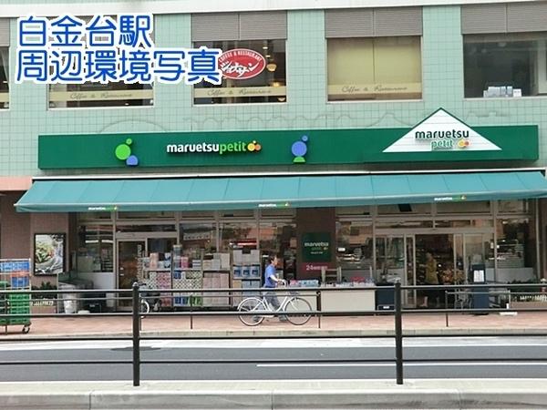 テラス池田山(マルエツプチ白金台店)
