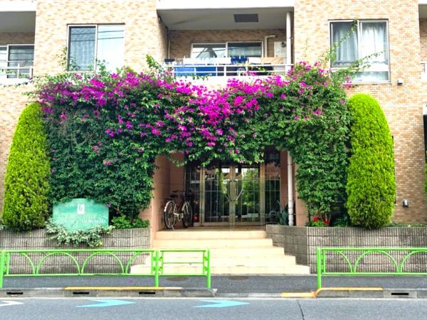 カーサフェリス世田谷弦巻