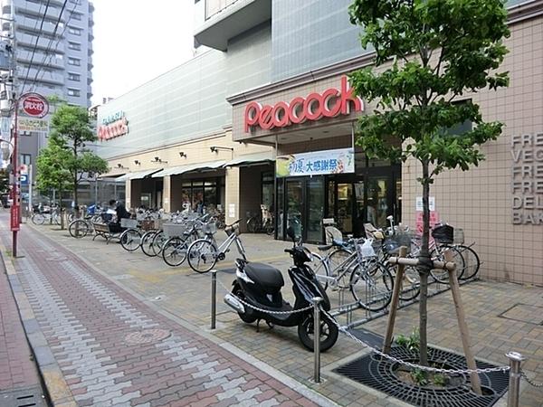 パーク・ノヴァ東雪谷(ピーコックストア石川台店)