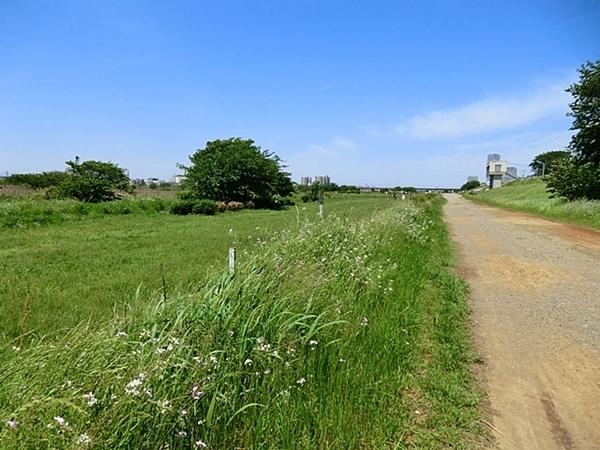 上野毛リッツハウスＤ館(多摩川遊園)