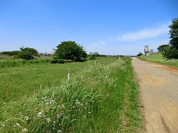 ロイヤルシーズン二子玉川(多摩川遊園)