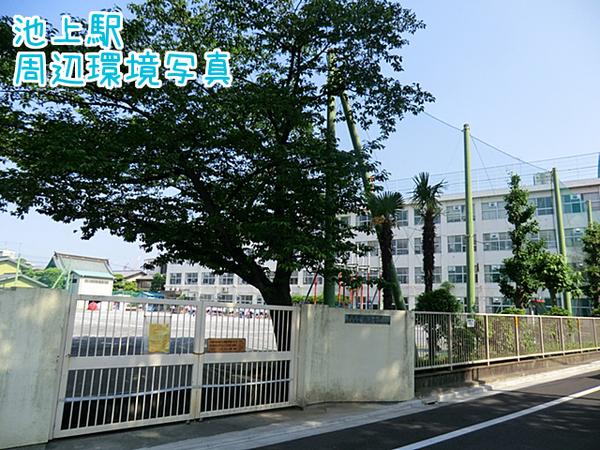 大田区池上５丁目の中古一戸建て(大田区立池上小学校)