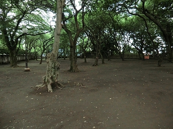 上野毛スカイハイツ(上野毛自然公園)