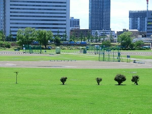 ルピナス多摩川(多摩川六郷橋緑地)