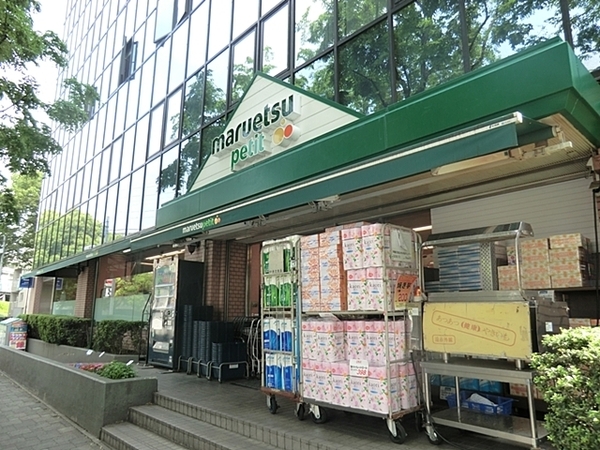 ベルジェ西大井(マルエツプチ西大井駅前店)