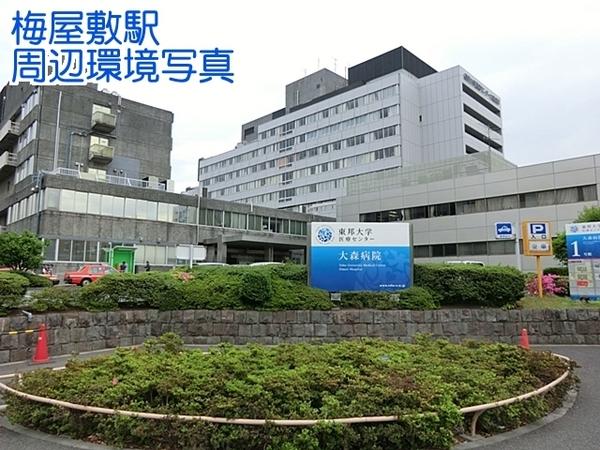 ニックハイム大森梅屋敷(東邦大学医療センター大森病院)