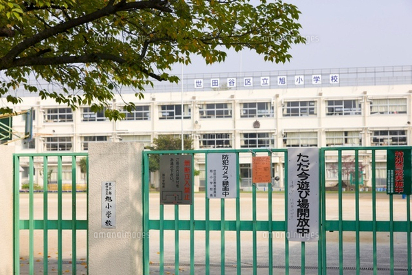 ライオンズマンション上馬(世田谷区立旭小学校)