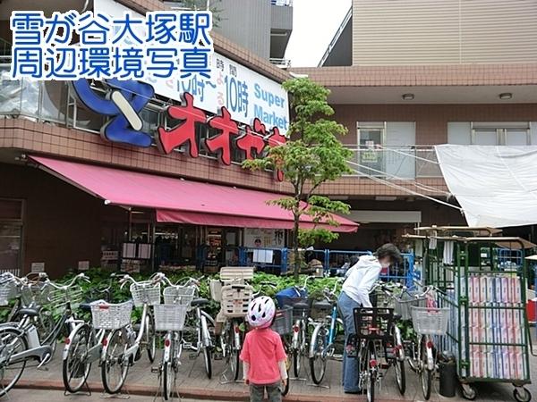 パレ・ソレイユ田園調布東(スーパーオオゼキ雪が谷店)
