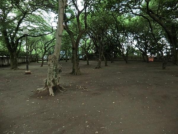 セザールリバーサイド上野毛(上野毛自然公園)