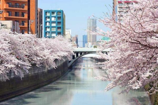 朝日中目黒マンション