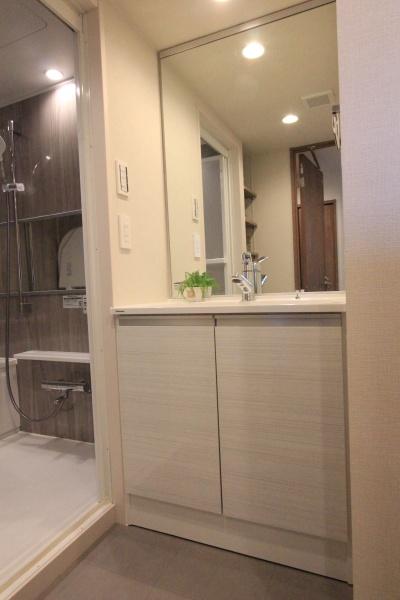 パレス三條(洗面台・洗面所)