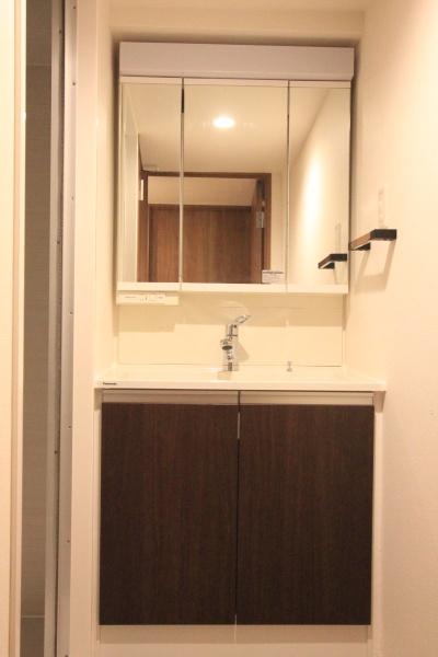 エクレール五反田(洗面台・洗面所)