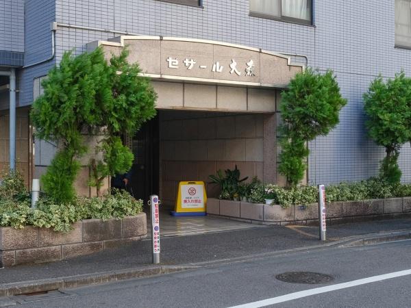 セザール大森