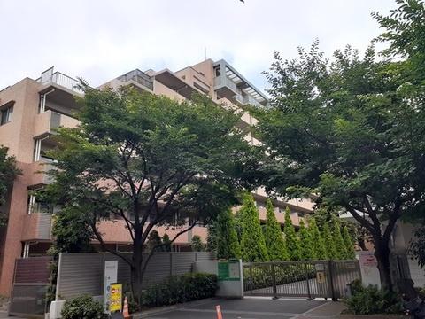 シャールレーク大井桜通り