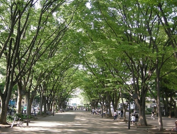 桜ハウス(JRA馬事公苑)