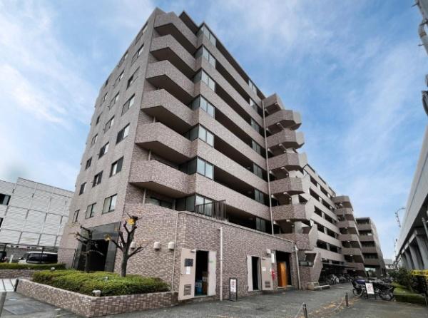 ルピナス多摩川