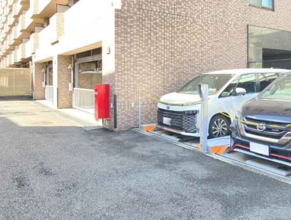 ルピナス多摩川