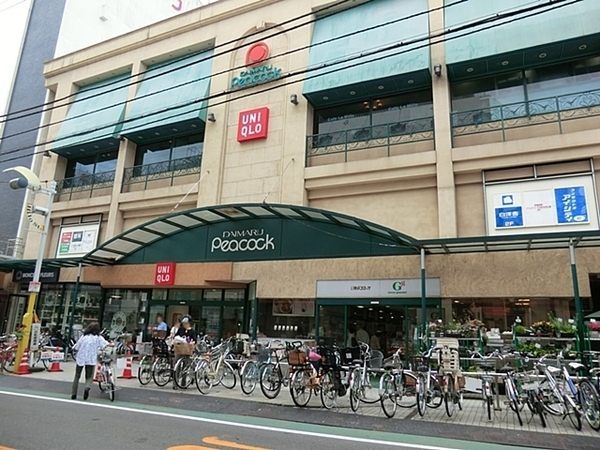 自由が丘ハイタウン(ピーコックストア自由が丘店)