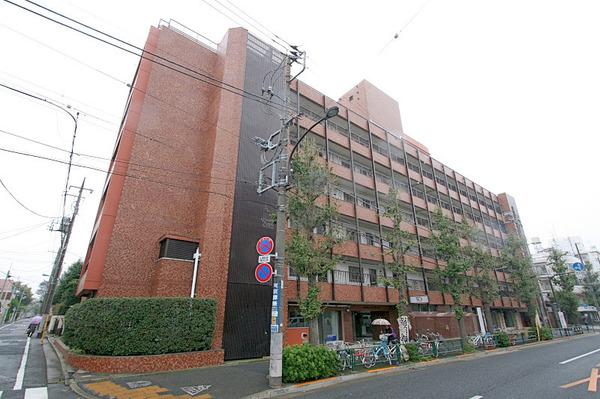 自由が丘ハイタウン