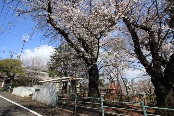 世田谷区下馬２丁目　土地