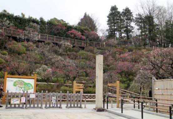 クレッセント西馬込(池上梅園公園)