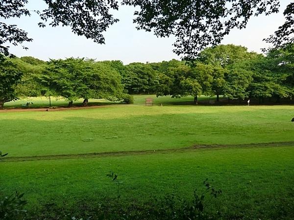 ハイライフ用賀(都立砧公園)