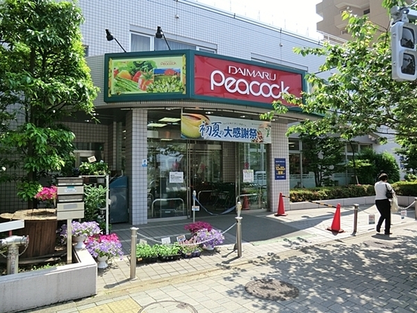 駒沢ガーデンハイツＡ棟(ピーコックストア桜新町店)