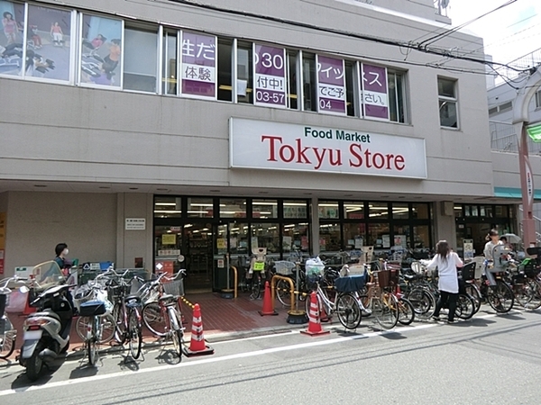 ワールドパレス武蔵小山Ⅱ(東急ストア武蔵小山駅ビル店)