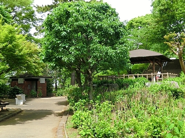 ハイム田園(多摩川台公園)