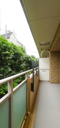 ソフィア学芸大学