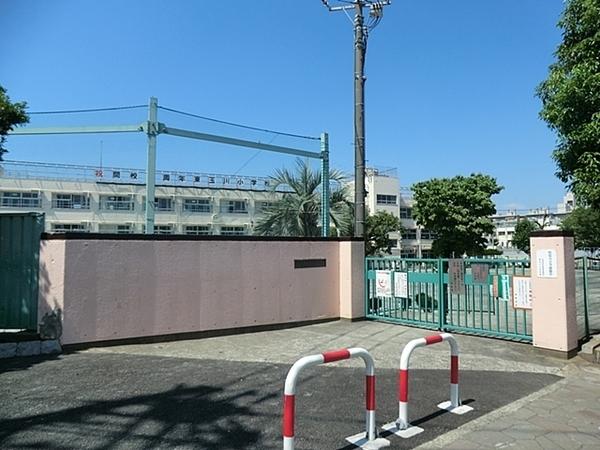 ニュー奥沢ハイツ(世田谷区立東玉川小学校)
