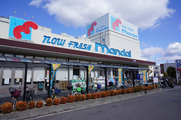 八尾市南太子堂6丁目の中古一戸建て(万代 長吉店)