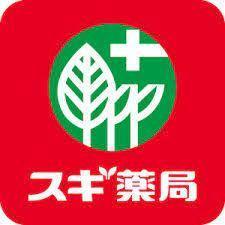 八尾市泉町３丁目の土地(スギ薬局若江南店)