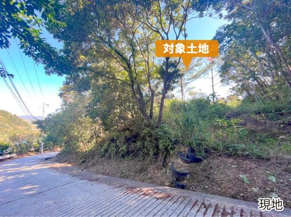 国頭郡東村字平良の土地
