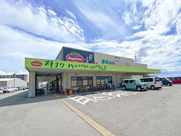 コンフォート宜野湾オーシャンフロント(ハッピーモア市場トロピカル店)