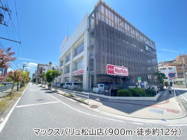 ライオンズマンション泊三丁目第3(マックスバリュ松山店)