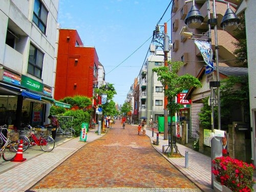 東急東横線「武蔵小杉」新築戸建て(医大モール商店街)