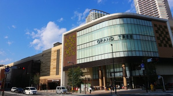 東急東横線「武蔵小杉」藤和武蔵小杉コープ(グランツリー武蔵小杉店(HELLOCYCLINGポー)