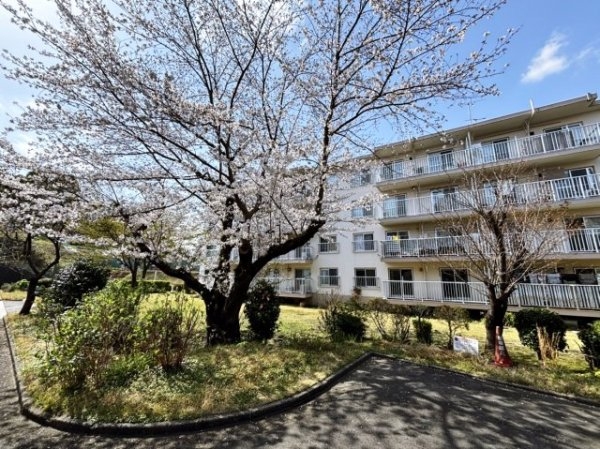 JR横浜線「鴨居」竹山団地1705号棟